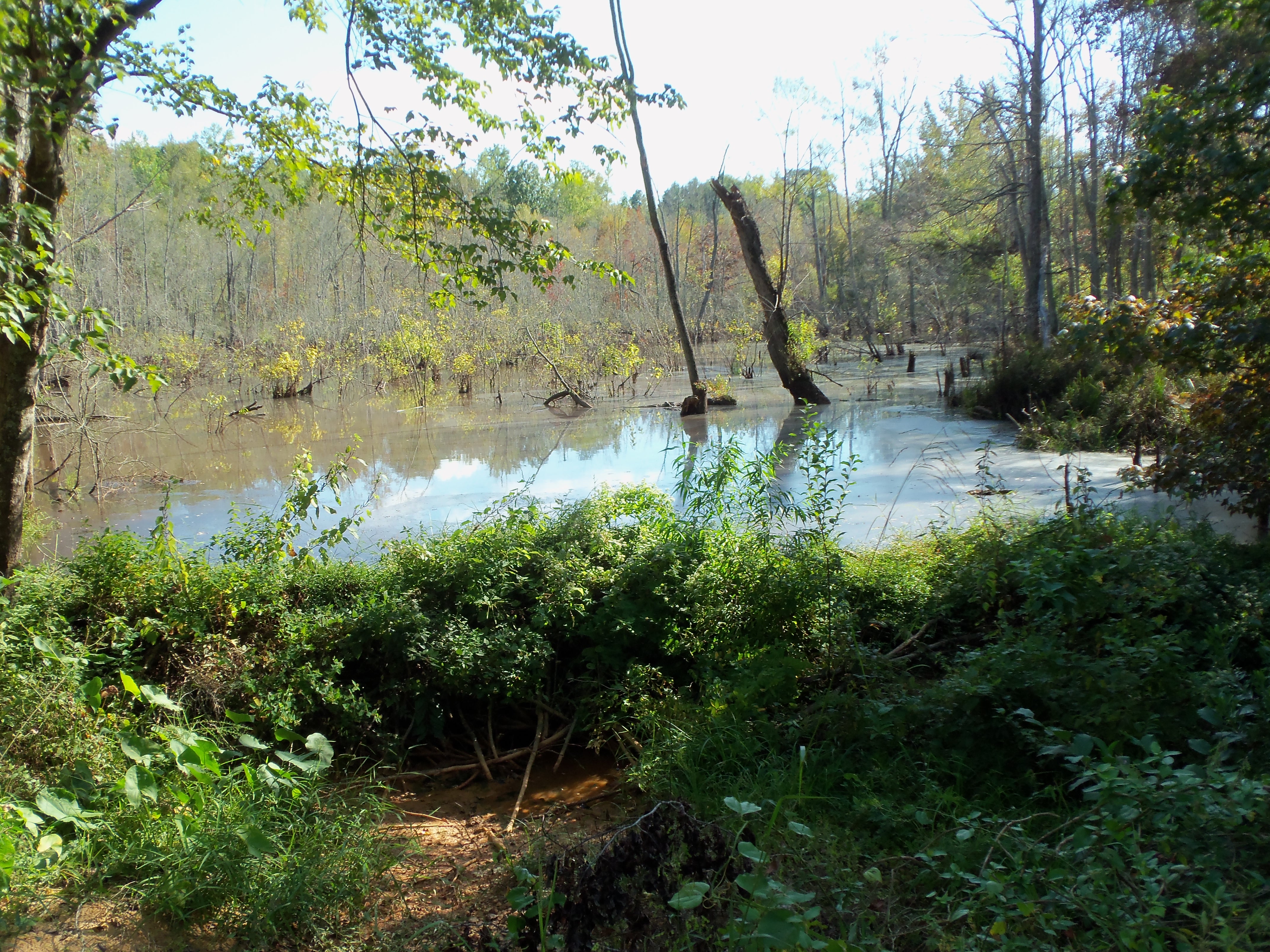image 4 
